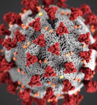 1. ¿el virus Covid-19 se puede contagiar por el aire, ósea las partículas al respirar?