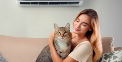 Consejos para una Instalación Óptima